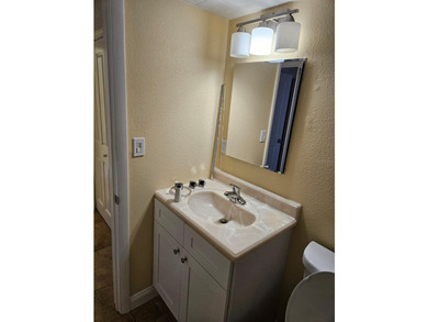 Beautifully renovated 1-bedroom, 1-bath waterfront condo located - photo 4