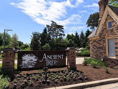 Welcome to the perfect 2-story townhome in Ancient Tree - photo 36