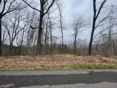 Lake Barkley Lot For Sale in Bumpus Mills Tennessee