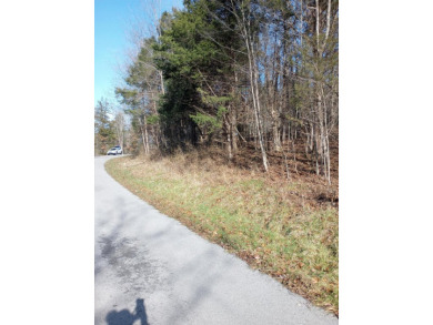 Lake Acreage For Sale in Falmouth, Kentucky