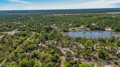 Discover the perfect canvas for your dream home in sunny Punta - photo 1