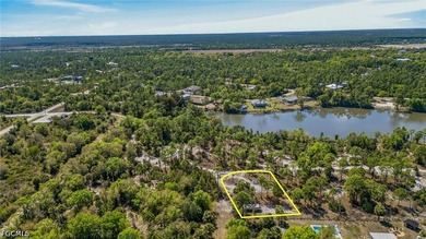 Discover the perfect canvas for your dream home in sunny Punta - photo 2