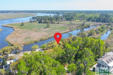 (private lake, pond, coastal) Lot For Sale in Richmond Hill Georgia