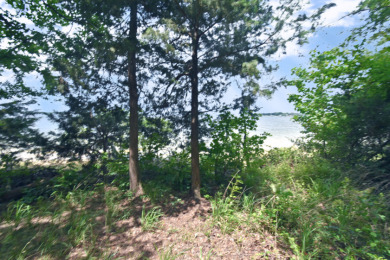 PRIME Lake Fork Waterfront Lot has .815 deeded acre + Leaseback - photo 12