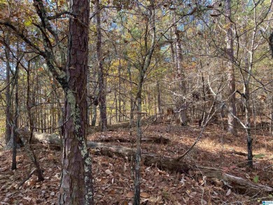 Lay Lake Acreage For Sale in Columbiana Alabama