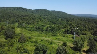 Lake Acreage For Sale in Dover, Arkansas