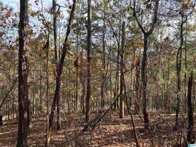 This 3.45 acre lot has beautiful views of Lay Lake. Water access - photo 2