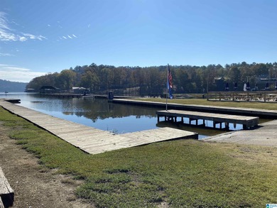 This 3.45 acre lot has beautiful views of Lay Lake. Water access - photo 8