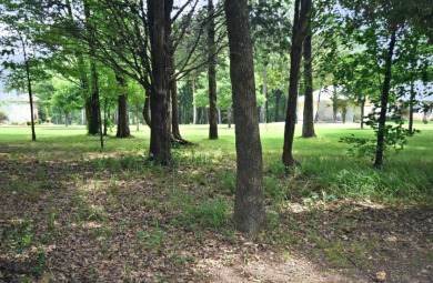 PRIME Lake Fork Waterfront Lot has .815 deeded acre + Leaseback - photo 5