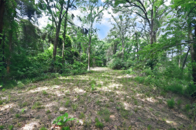 PRIME Lake Fork Waterfront Lot has .815 deeded acre + Leaseback - photo 7