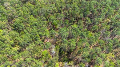 Rare lot available at Lakewood Estates! Opportunity to own - photo 3