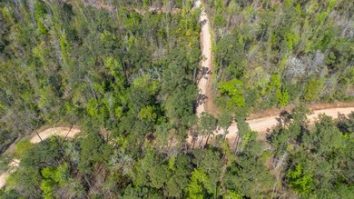 Rare lot available at Lakewood Estates! Opportunity to own - photo 4