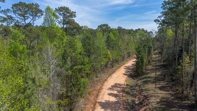 Rare lot available at Lakewood Estates! Opportunity to own - photo 5