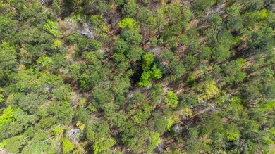 Rare lot available at Lakewood Estates! Opportunity to own - photo 10
