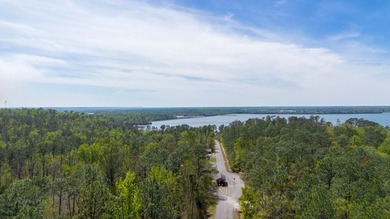 This is a beautiful lot near the East bank of Lake Seminole, at - photo 3