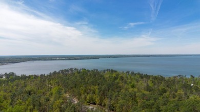 This is a beautiful lot near the East bank of Lake Seminole, at - photo 4