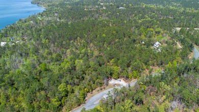 This is a beautiful lot near the East bank of Lake Seminole, at - photo 5