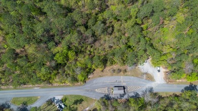 This is a beautiful lot near the East bank of Lake Seminole, at - photo 6