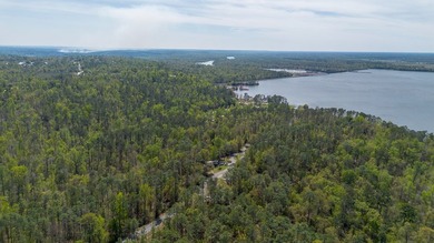 This is a beautiful lot near the East bank of Lake Seminole, at - photo 7