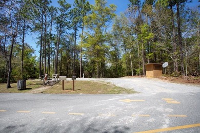 This is a beautiful lot near the East bank of Lake Seminole, at - photo 8