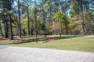 This is a beautiful lot near the East bank of Lake Seminole, at - photo 10