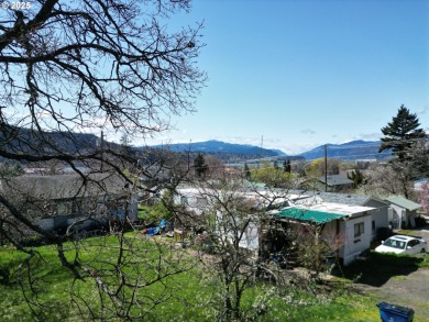 (private lake, pond, creek) Home For Sale in Bingen Washington