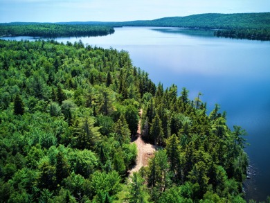 Lake Lot For Sale in Long A Twp, Maine