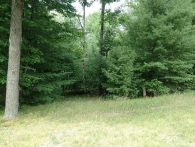 Lake Lot For Sale in Roscommon, Michigan