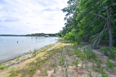 PRIME Lake Fork Waterfront Lot has .815 deeded acre + Leaseback - photo 14