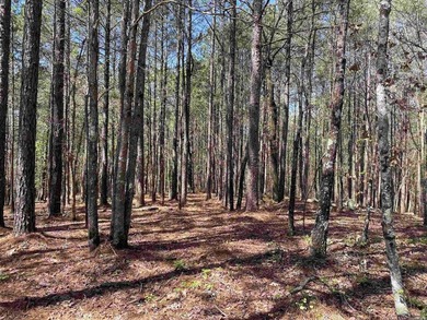 Additional listing photo 1