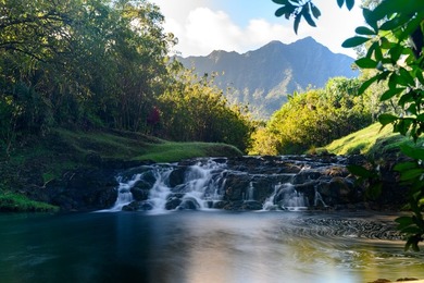 Silverfarms Ranch is a North Shore sanctuary where water - photo 5