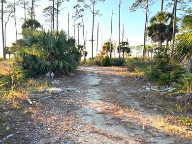 Build your dream coastal retreat on this exceptional .58-acre - photo 3