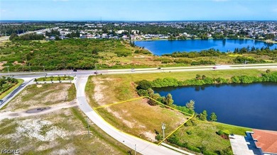 **Fantastic Opportunity!** This prime commercial parcel is - photo 10