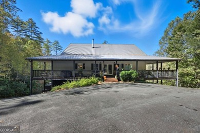 (private lake, pond, creek) Home For Sale in Mineral Bluff Georgia