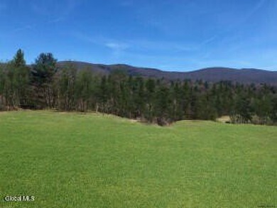 (private lake, pond, coastal) Acreage For Sale in Stephentown New York