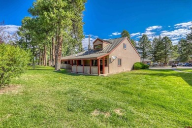 Pinon Lake Condo For Sale in Pagosa Springs Colorado