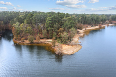  Waterfront lot with an impressive view of Toledo Bend Lake.  - Lake Lot For Sale in Milam, Texas