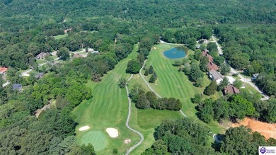Build your dream home on this beautiful lot on Doe Valley Lake! - photo 15