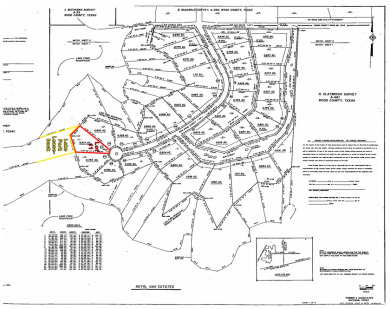 PRIME Lake Fork Waterfront Lot has .815 deeded acre + Leaseback - photo 20