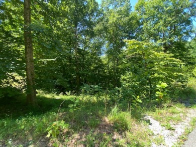 Lake Lot For Sale in Leitchfield, Kentucky