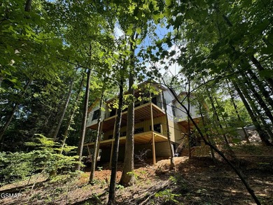 GOLFER'S DREAM! Under construction and ready in late 2026! This - photo 42