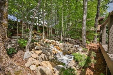 Located in the desirable heart of Sapphire Valley, this - photo 48