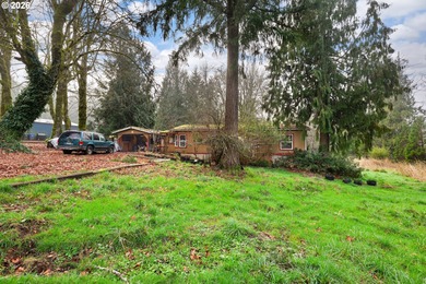 Lake Home For Sale in Chehalis, Washington
