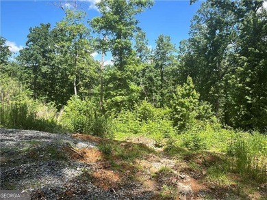Coosawattee River - Gilmer County Lot For Sale in Ellijay Georgia