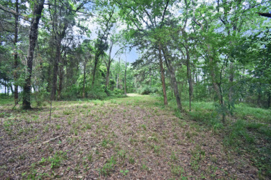 PRIME Lake Fork Waterfront Lot has .815 deeded acre + Leaseback - photo 6