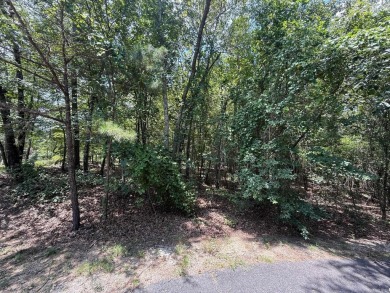 Lake Coronado Lot For Sale in Hot Springs Village Arkansas