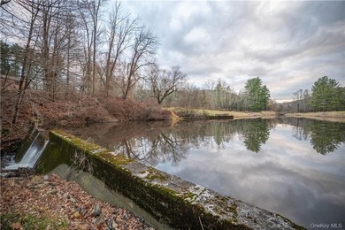 Exceptional opportunity to acquire this contemporary masterpiece - photo 21