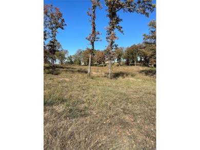  Lot For Sale in Sulphur Oklahoma