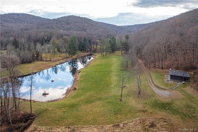 Exceptional opportunity to acquire this contemporary masterpiece - photo 25
