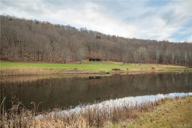 Exceptional opportunity to acquire this contemporary masterpiece - photo 28